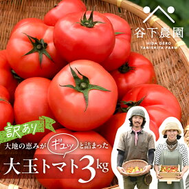 【ふるさと納税】【2024年分 先行予約】訳アリ 約 3kg 大地の恵みがぎゅーっと詰まった果肉が厚い大玉トマト 麗月 レイゲツ れいげつ とまと 訳あり 下呂温泉 特産品11000円 岐阜県 下呂市