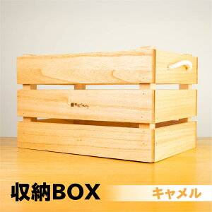 yӂ邳Ɣ[Łz[BOX 5FIׂi44.5cm@ 30.5cm@s 30.5cmjIׂJ[ S5FyLEVREr^[EIWEO[z Vv ˍ  [ ςݏd l 