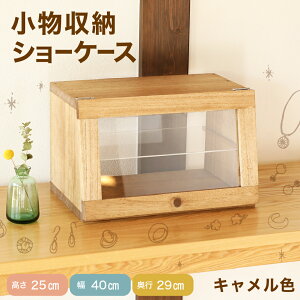 yӂ邳Ɣ[ŁzV[P[X@25cm@40cm@s29cm AN ˍ CeA ANZT[P[X WI ؐ  I _ C L I 30000~ 򕌌 Cs