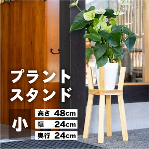 yӂ邳Ɣ[ŁzvgX^hiji48cm 24cm s24cmjVv ؖ ؐ A CeCA Au X^h C