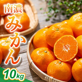 【ふるさと納税】南濃みかん10kg みかん 果物類 柑橘類 ミカン フルーツ 　お届け：2025年11月上旬～2026年3月中旬まで