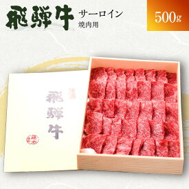 【ふるさと納税】飛騨牛 サーロイン 岐阜県海津市産 焼肉 500g 牛肉