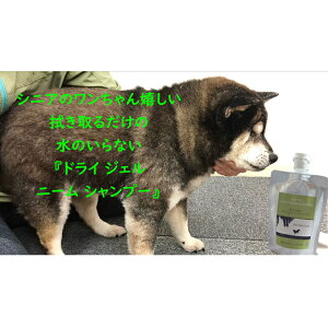 yӂ邳Ɣ[ŁzypzhCWFj[Vv[@400g@̗vȂVv[
