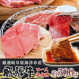 【ふるさと納税】【飛騨牛】海津市産ロース焼肉オリジナルカット 【配達不可：離島】