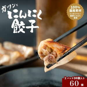 【ふるさと納税】発芽にんにく餃子30個入り2パック 餃子 にんにく にんにくたっぷり 国産にんにく 発芽にんにく 冷凍 臭わない 栄養価抜群 スタミナ 免疫アップ おつまみ おかず 総菜 餃子