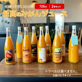 【ふるさと納税】海津っ子の想い出の味　最高のみかんジュース　2本セット
