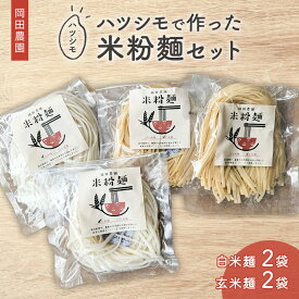【ふるさと納税】岡田農園のハツシモで作った米粉麺セット