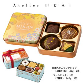 【ふるさと納税】南濃みかんショコラセレクション(2缶) フールセック・小缶 菓子 お菓子 焼き菓子 セット 詰め合わせ チョコレート クッキー ショコラ 岐阜 海津市　お届け：2026年1月14日～2026年2月10日まで