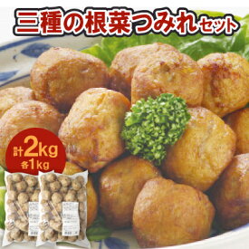 【ふるさと納税】三種の根菜つみれ2パックセット【配送不可地域：離島】【1637087】