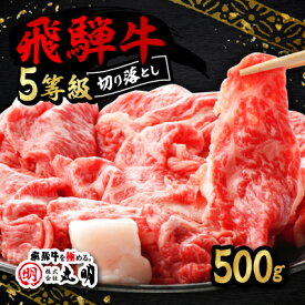 【ふるさと納税】飛騨牛5等級　切り落とし用途いろいろ　500g_ 飛騨牛 肉 黒毛和牛 国産牛 ブランド牛 霜降り 牛肉 牛 にく ニク すきやき すき焼き しゃぶしゃぶ 牛丼 切り落し 切り落とし 国産 ギフト プレゼント 冷凍 【配送不可地域：離島】【1034745】