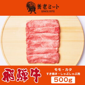 【ふるさと納税】飛騨牛モモもしくはカタ (すき焼き・しゃぶしゃぶ用)　1kg/500g【配送不可地域：離島】【G1042663】