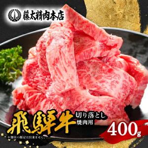yӂ邳Ɣ[Łzyˋz؂藎ēpy400g/򕌌YzyzsnFzy1107365z