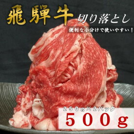 【ふるさと納税】【飛騨牛】　切り落とし　500g入り【配送不可地域：離島】【1418309】