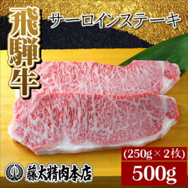 【ふるさと納税】【飛騨牛】サーロインステーキ 2枚入り 計約500g (250g×2枚) 岐阜県産 黒毛和牛_ 飛騨牛 牛肉 肉 黒毛和牛 国産牛 ブランド牛 霜降り サーロイン 牛 にく ニク 精肉 ステーキ 焼肉 贈答 ギフト プレゼント 冷凍 送料無料 【配送不可地域：離島】【1420282】