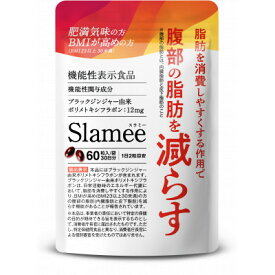 【ふるさと納税】サプリ機能性表示食品Slamee 脂肪を減らす 30日/60粒 3袋(3ヶ月分) 6袋(6ヶ月分)【G1490402】