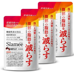 yӂ邳Ɣ[ŁzTvg @\\Hi Slamee X~[ ̎bƔ牺b炷 3(3)y1495306z