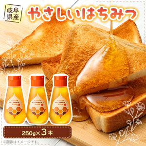 【ふるさと納税】岐阜県産 やさしいはちみつ250g×3本【1501897】