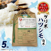 楽天市場】岐阜県 ハツシモ 30kgの通販