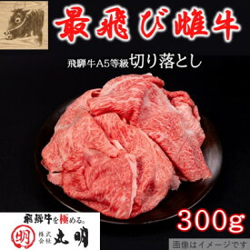 【ふるさと納税】【最飛び雌牛】飛騨牛A5等級切り落とし　300g/500g/600g_ 肉 お肉 牛肉 ブランド牛 和牛 飛騨牛 A5 A5等級 切り落とし 雌牛 牛丼 肉じゃが 牛すき煮 ハッシュドビーフ 炒め物 岐阜県 養老町 冷凍 送料無料 【配送不可地域：離島】【G1520141】