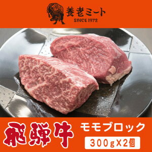 【ふるさと納税】飛騨牛 モモブロック 300g×2個【配送不可地域:離島】【1622921】