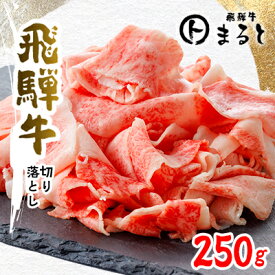 【ふるさと納税】【飛騨牛】切り落とし　250g入り【配送不可地域：離島】【1638261】