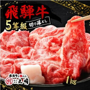 【ふるさと納税】飛騨牛5等級 切り落とし用途いろいろ 1kg【配送不可地域:離島】【1668213】