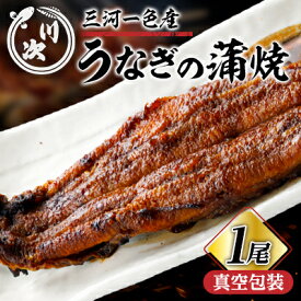 【ふるさと納税】うなぎの蒲焼(1尾)【配送不可地域：離島】【1698321】