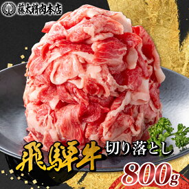 【ふるさと納税】何にでも使える!【飛騨牛】切り落とし800g 岐阜県産 黒毛和牛_ 牛肉 飛騨牛 すき焼き 切落し 訳あり 肉 お肉 切り落とし 薄切り すきやき 黒毛和牛 ワケアリ牛肉 藤太【配送不可地域：離島】【1046755】