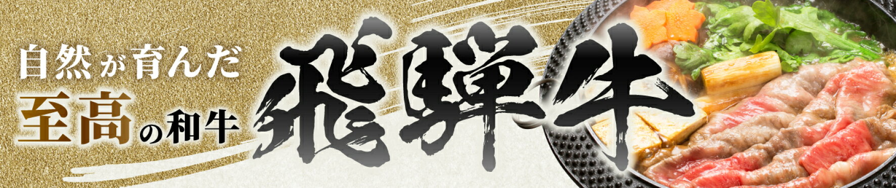 ふるさと納税　飛騨牛