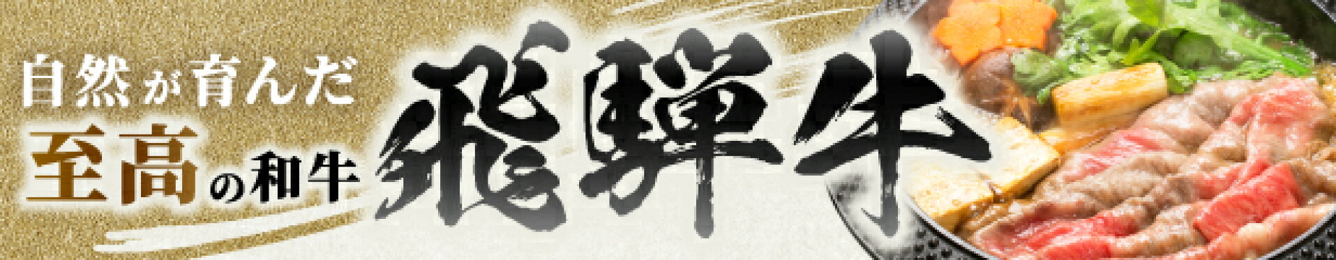 ふるさと納税　飛騨牛