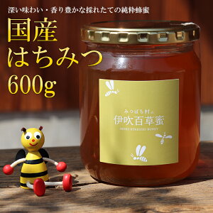 yӂ邳Ɣ[ŁzE-26 Y݂͂600g