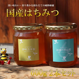 【ふるさと納税】E-27 国産はちみつ600g2本セット