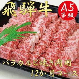 【ふるさと納税】AB-30 A5飛騨牛バラカルビ焼き肉用12か月コース