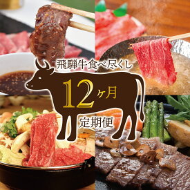 【ふるさと納税】A5等級 飛騨牛 食べ尽くし 12か月コース ｜ 牛 飛騨牛 和牛 牛肉 A5等級 12か月 定期便 豪華 贅沢 家族 贈答品 贈り物 ギフト プレゼント 肉