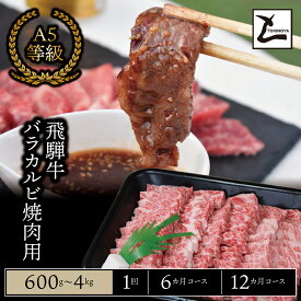 【ふるさと納税】＼選べる容量・回数／ A5 飛騨牛 バラ カルビ 焼肉用｜岐阜県産 国産 黒毛和牛 ブランド牛 スライス 霜降り 冷凍 贅沢 高級肉 バーベキュー お歳暮 お中元 ギフト プレゼント おすすめ トキノ屋食品