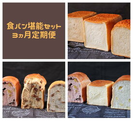 【ふるさと納税】AE-29 【国産小麦・バター100%】食パン堪能セット【3ヵ月定期便】