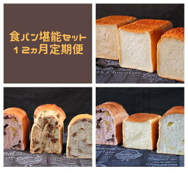 【ふるさと納税】AE-31 【国産小麦・バター100%】食パン堪能セット【12ヵ月定期便】
