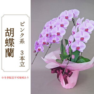 yӂ邳Ɣ[ŁzAH-1 Ӓ@sNn@3{