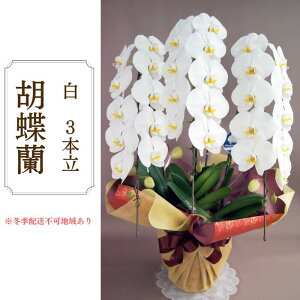 yӂ邳Ɣ[ŁzAH-5 Ӓ@@3{