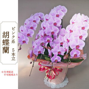yӂ邳Ɣ[ŁzAH-3 Ӓ@sNn@5{
