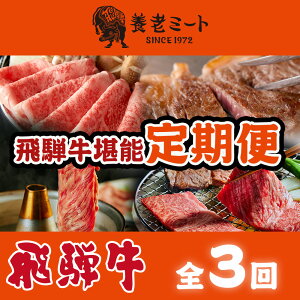 【ふるさと納税】【3か月定期便】月替わりで色々な飛騨牛を楽しめる全3回