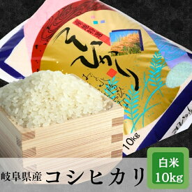 【ふるさと納税】≪令和7年産≫【新米】 岐阜 コシヒカリ 約10kg【単発便／定期便】