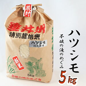 yӂ邳Ɣ[Łzߘa7NY yVāz ʍ͔| 䒬Y ncV 5kg b    R    CX Yn Mtg p v[g 򕌌Y