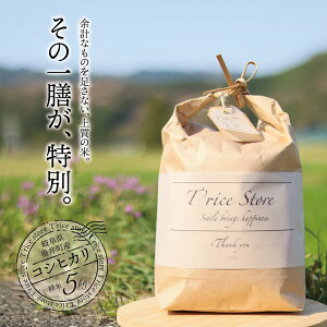 yӂ邳Ɣ[Łzyʌzsߘa7NYtsVātT rice Store 򕌌Y RVqJ 5kg | 䒬Y      ߂Ă uh i S S s[^[ 