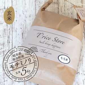 yӂ邳Ɣ[Łzyʌzsߘa7NYtsVāt T rice Store 򕌌Y `~miāj 5kg | 䒬Y   ݕ  i S S s[^[ p 蕨 Mt
