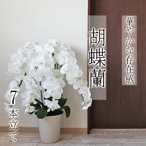 yӂ邳Ɣ[ŁzBH-1-a yԁzӒ 7{