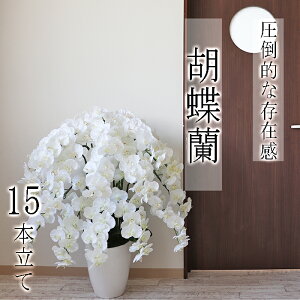 yӂ邳Ɣ[ŁzBH-2a yԁzӒ 15{