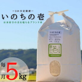 【ふるさと納税】BI-31 【特別栽培米】≪令和5年産新米≫垂井町産いのちの壱5kg