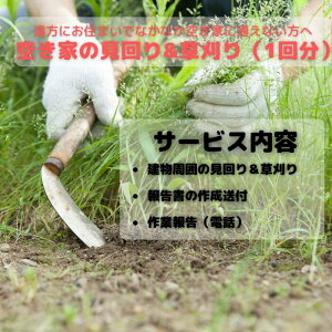 yӂ邳Ɣ[ŁzBQ-4 󂫉ƌ&茔i1񕪁j