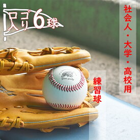 【ふるさと納税】BO-4 社会人・大学・高校用硬式練習球 （T’sマーク入り・6球）